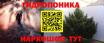 apvp Бийск