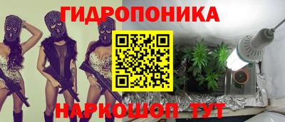 Альфа ПВП Беслан
