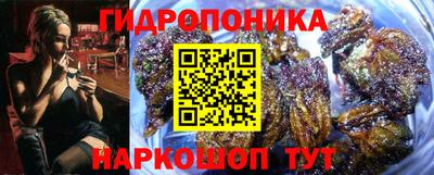 apvp Бийск